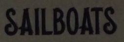 What could this font be?
