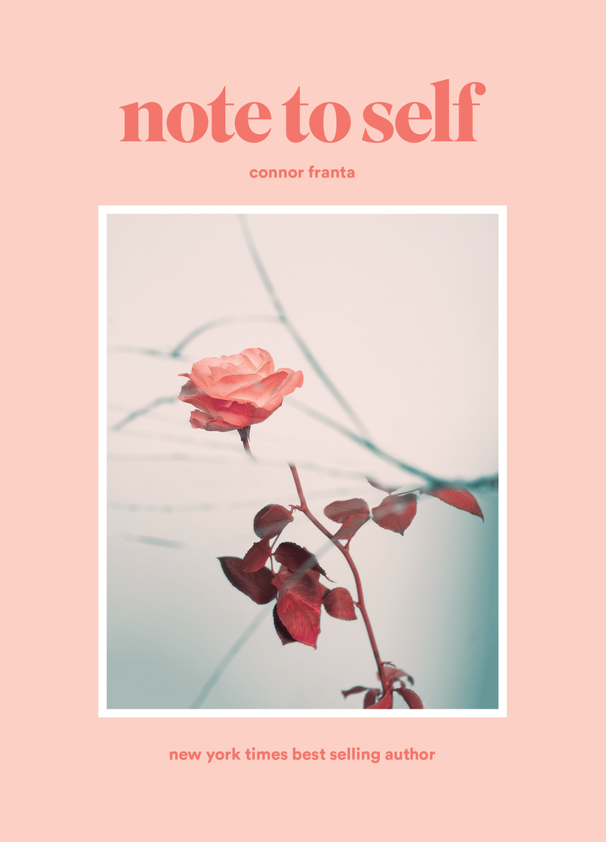please help me find all these fonts