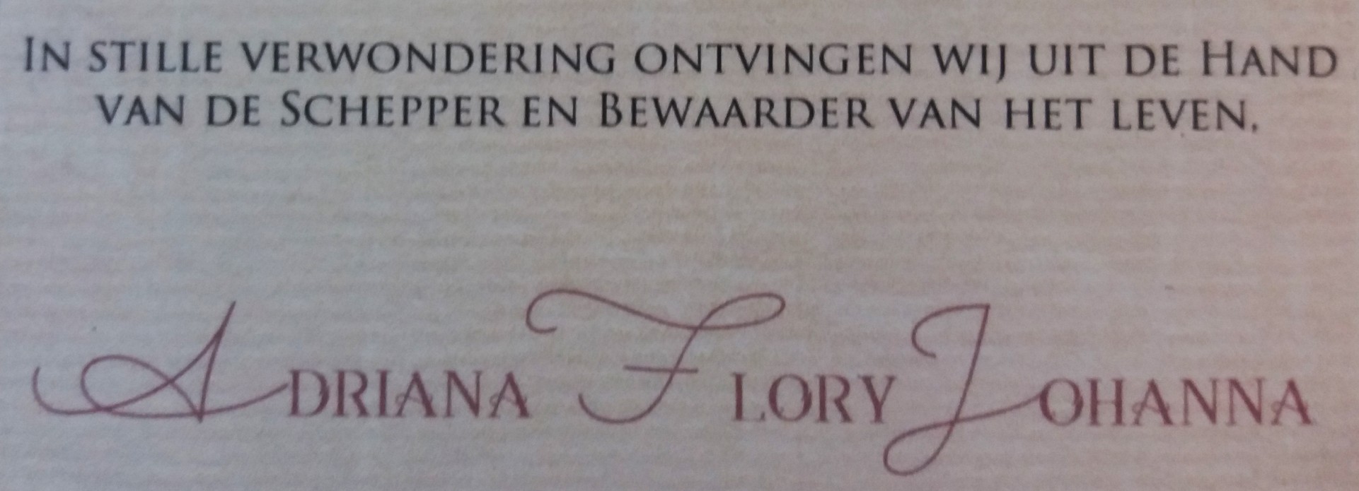 whats this font ?