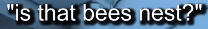 From a Gabbie Hanna video