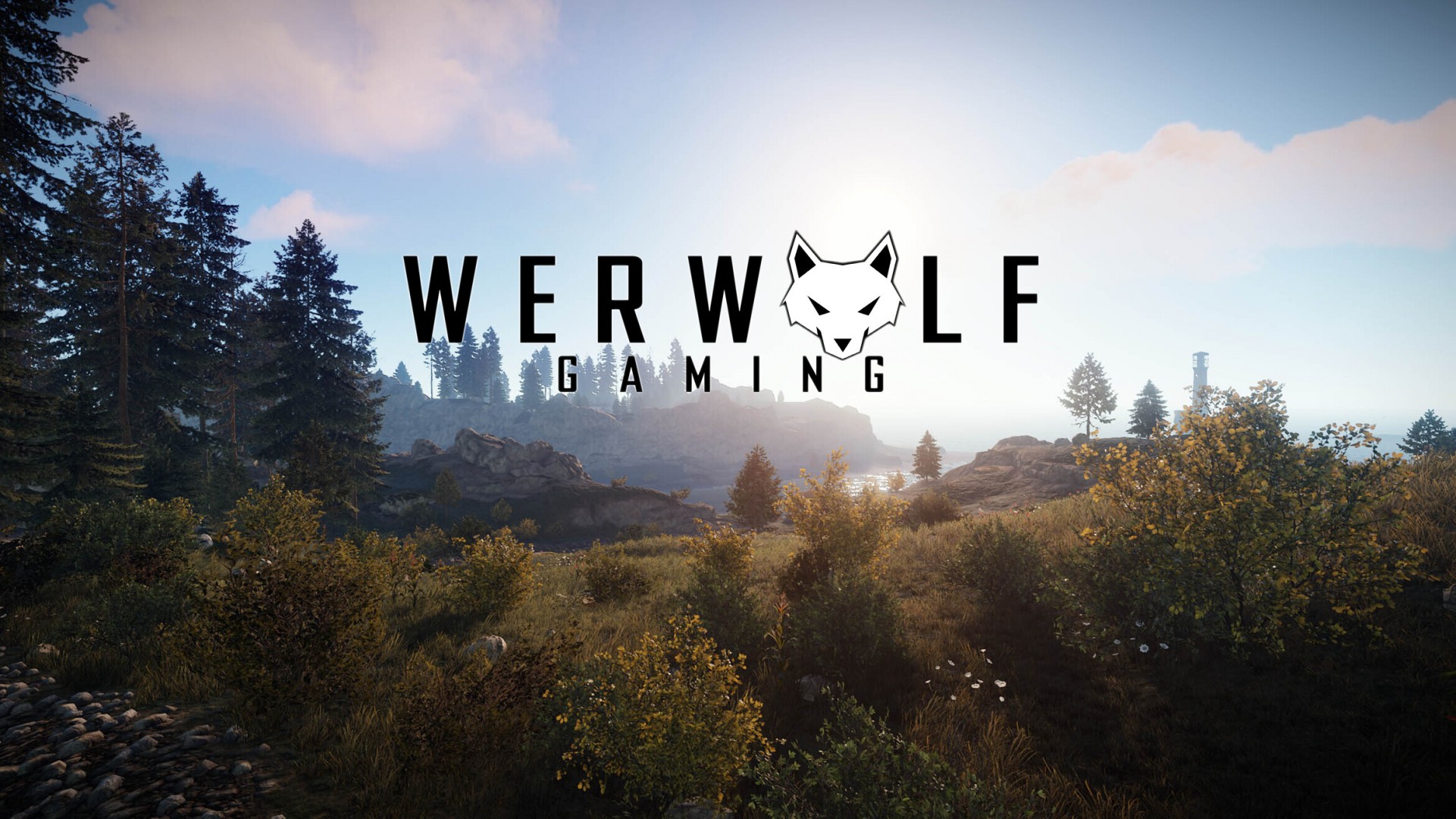 Werwolf gaming net rust (120) фото