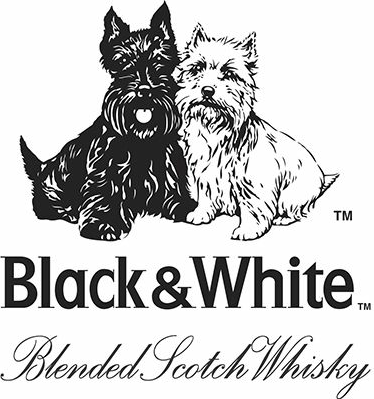 what this font