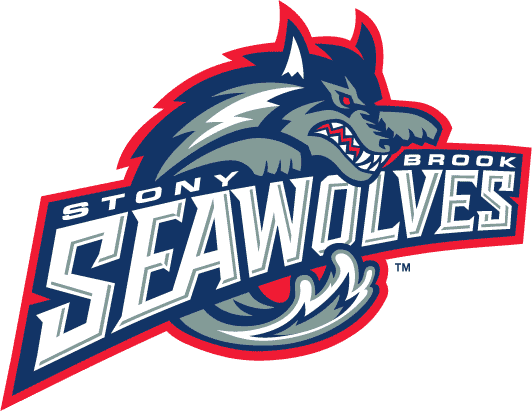 Font used on "SEAWOLVES" text?