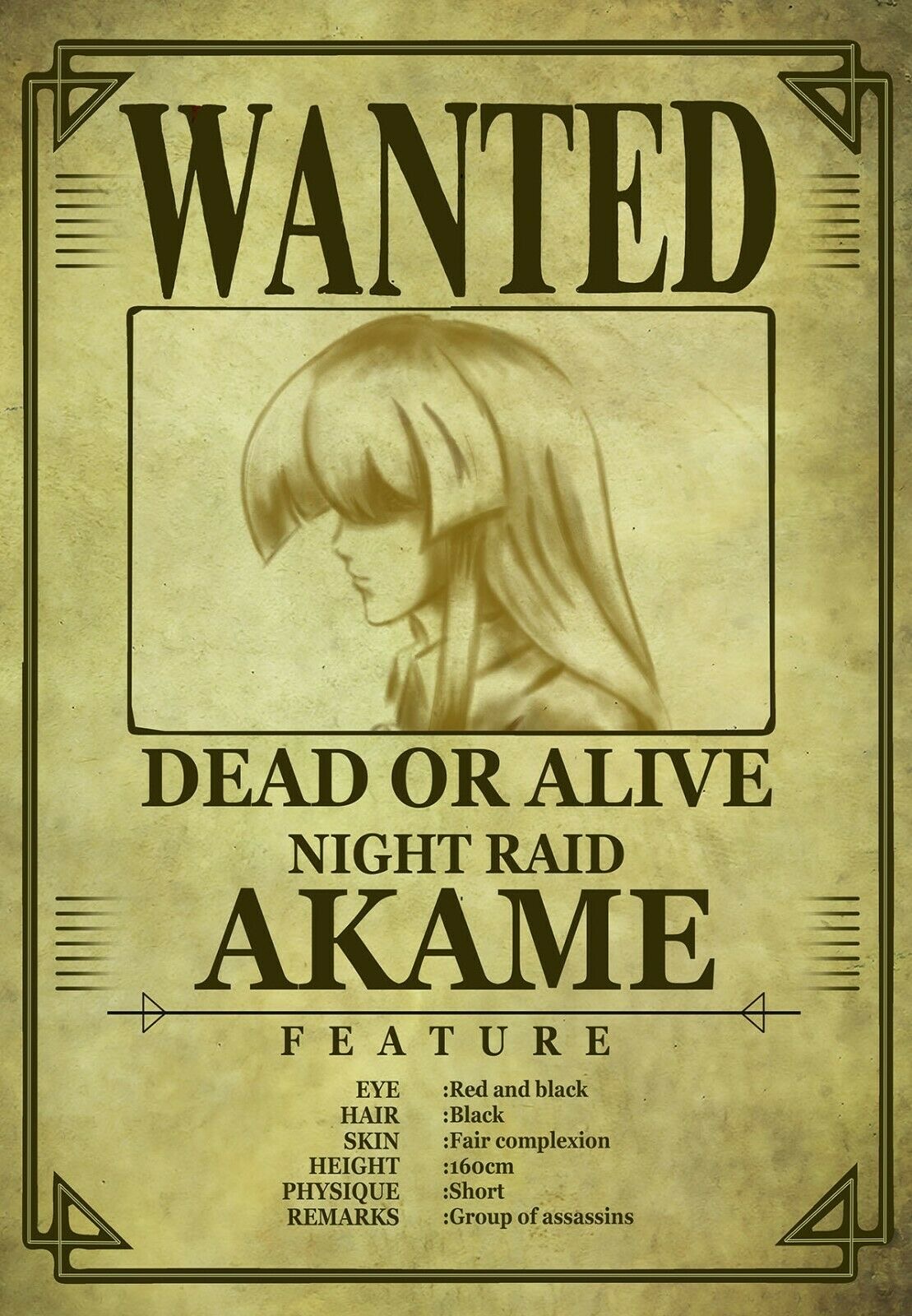 What is the font used for the Akame ga Kill wanted posters?