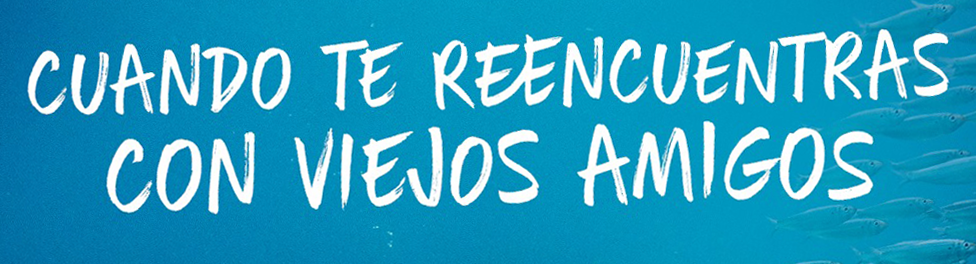 Please!! Font of "CUANDO TE REENCUENTRAS CON VIEJOS AMIGOS"??