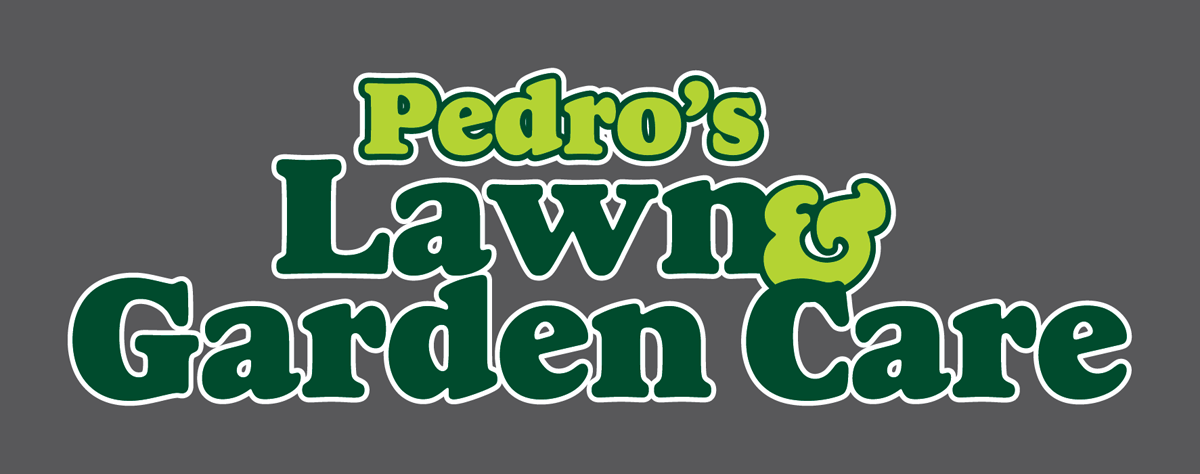 Pedro