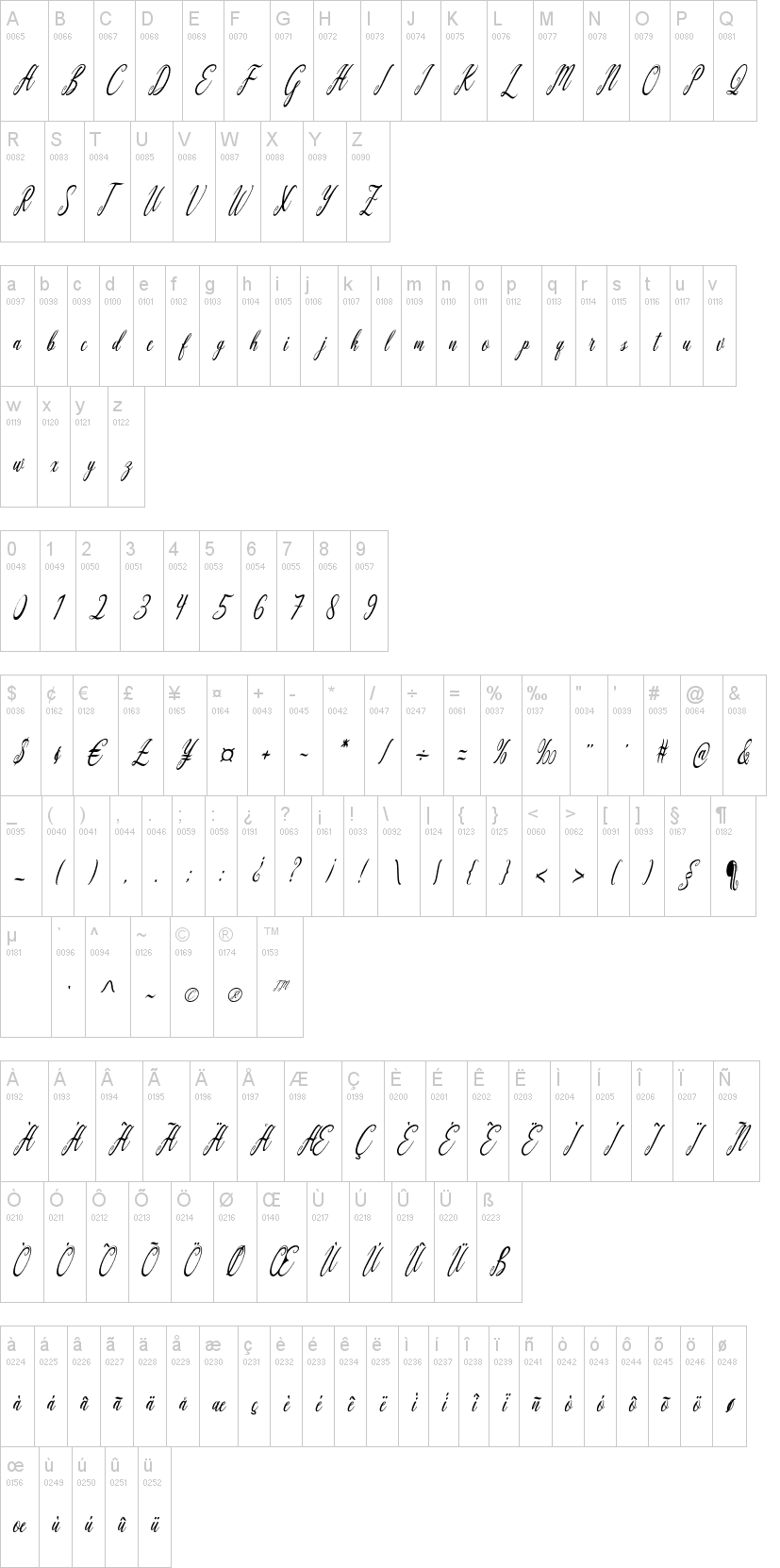 Aquilera Script