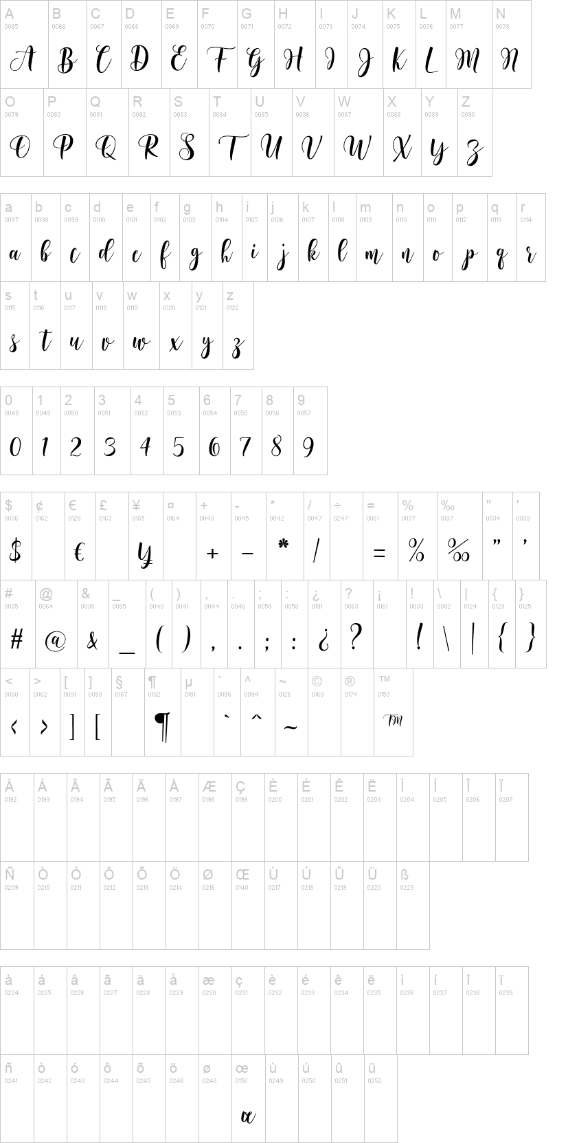 Basyirah Script