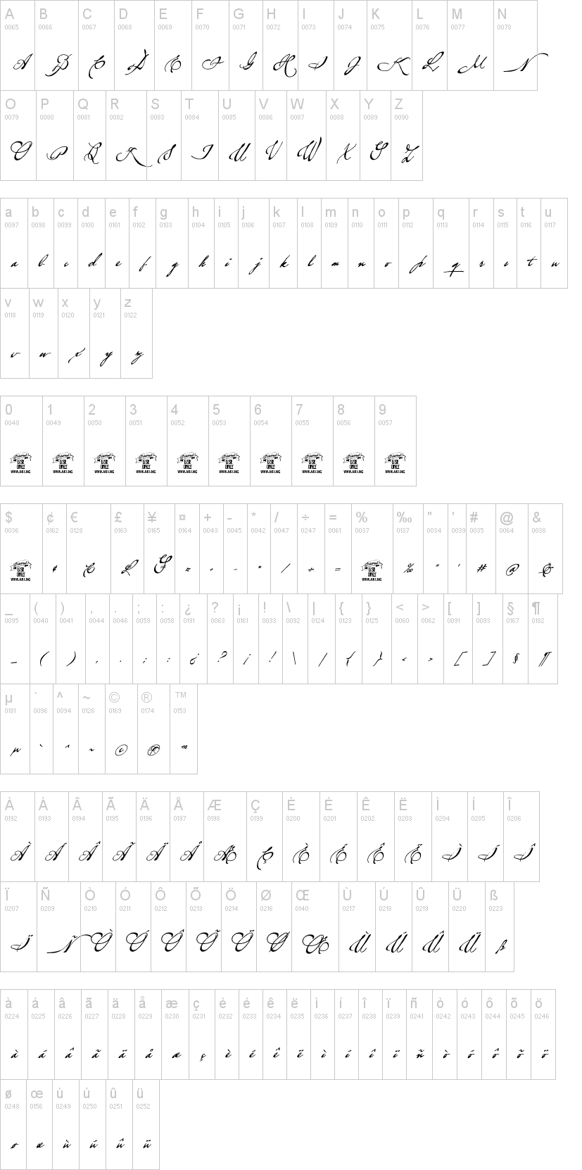 Brev Script