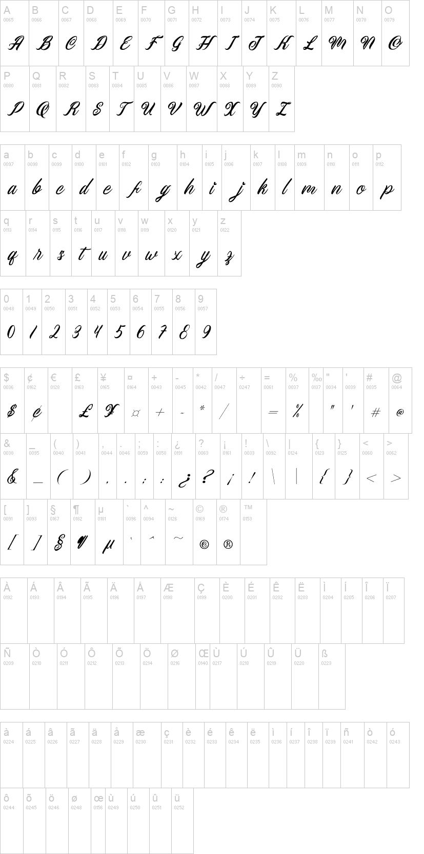 Calligata Script