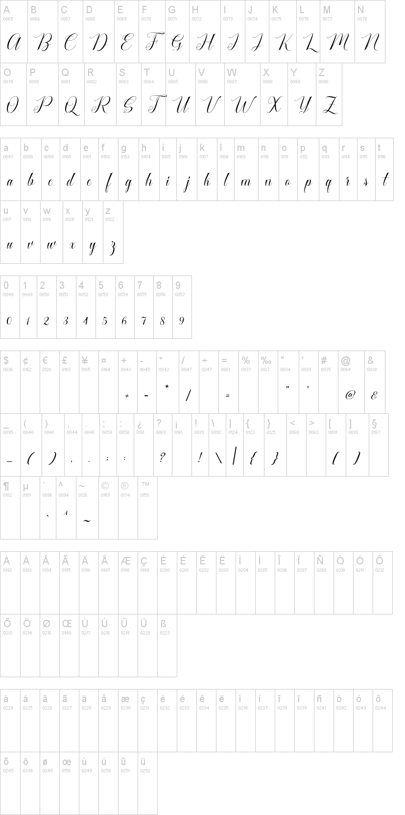 Cataline Script