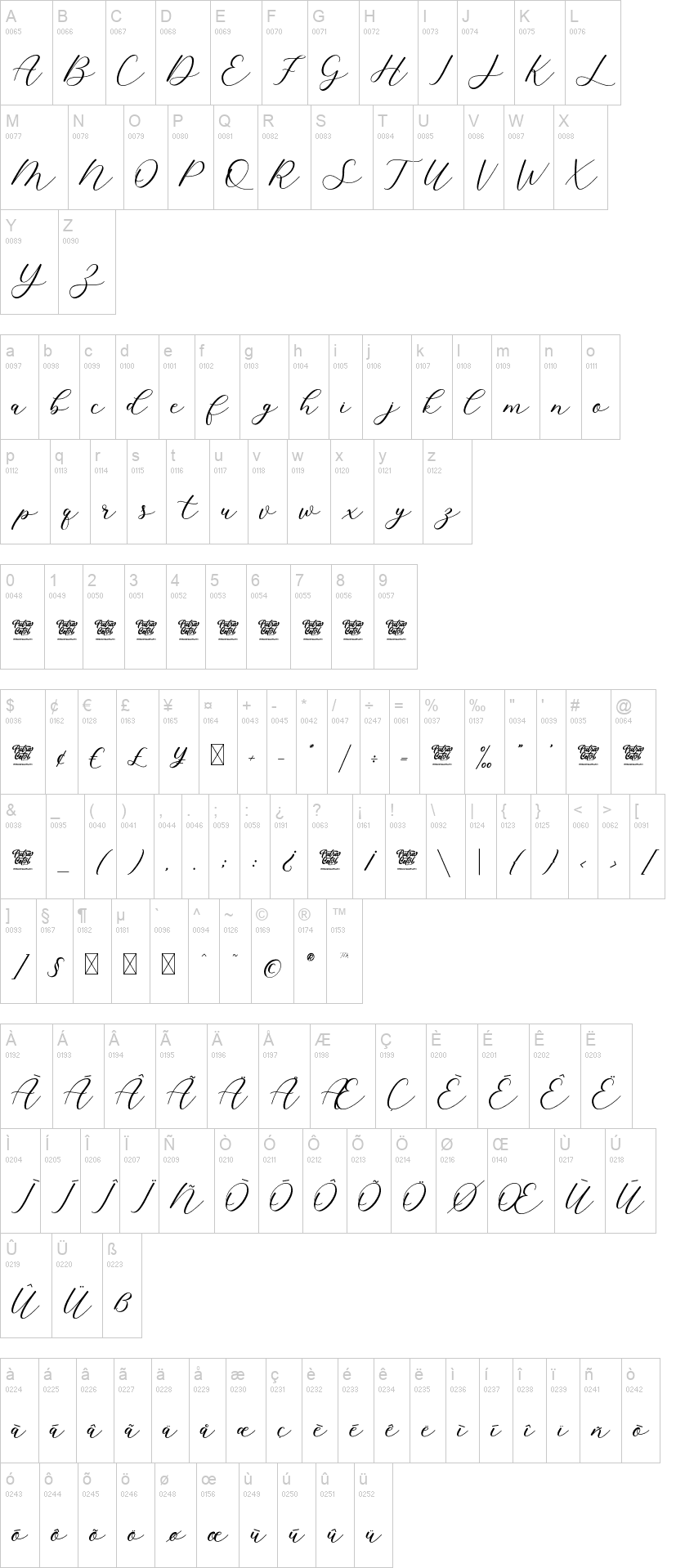 Cavilay Script