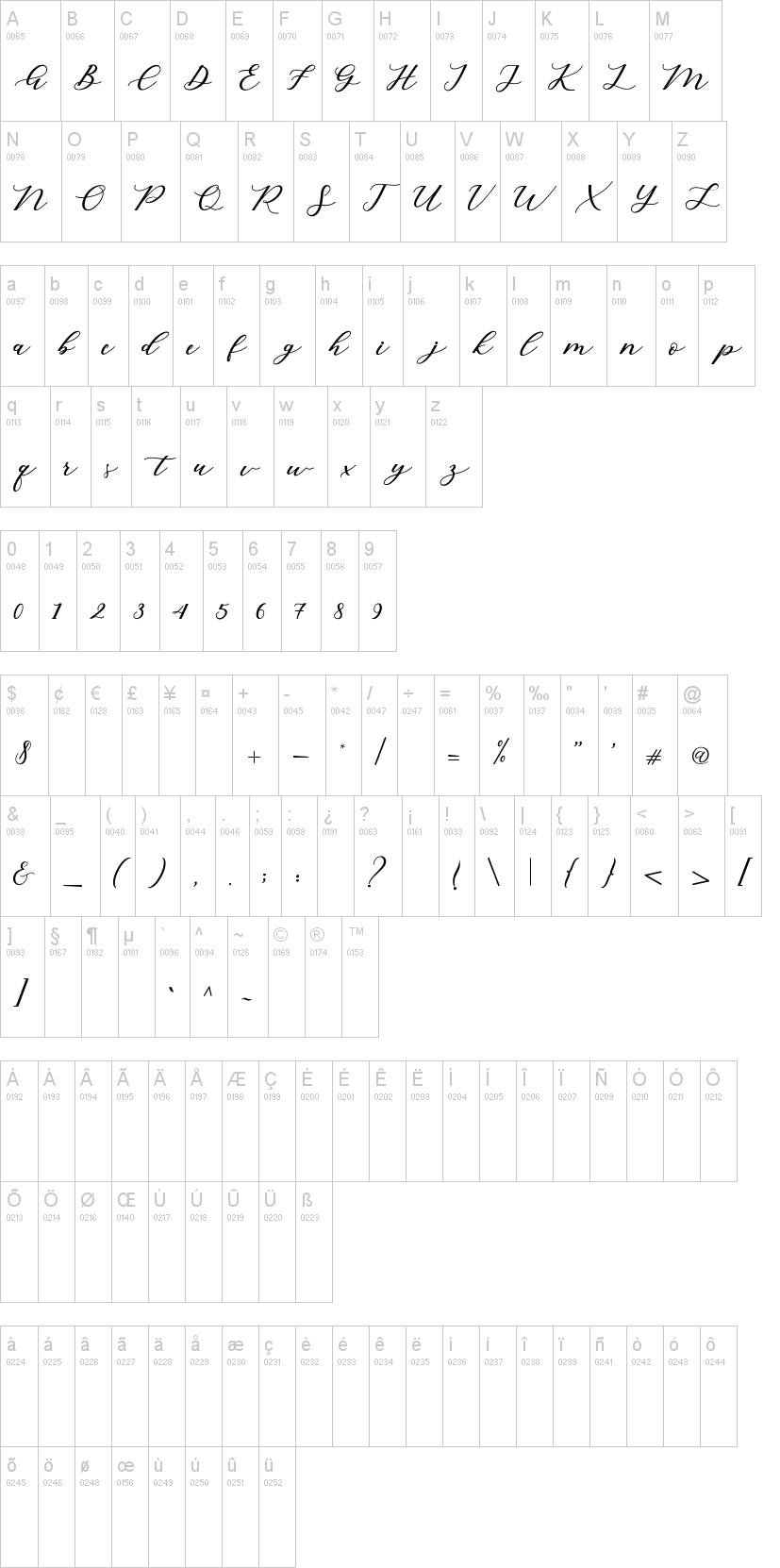 Cintya Script