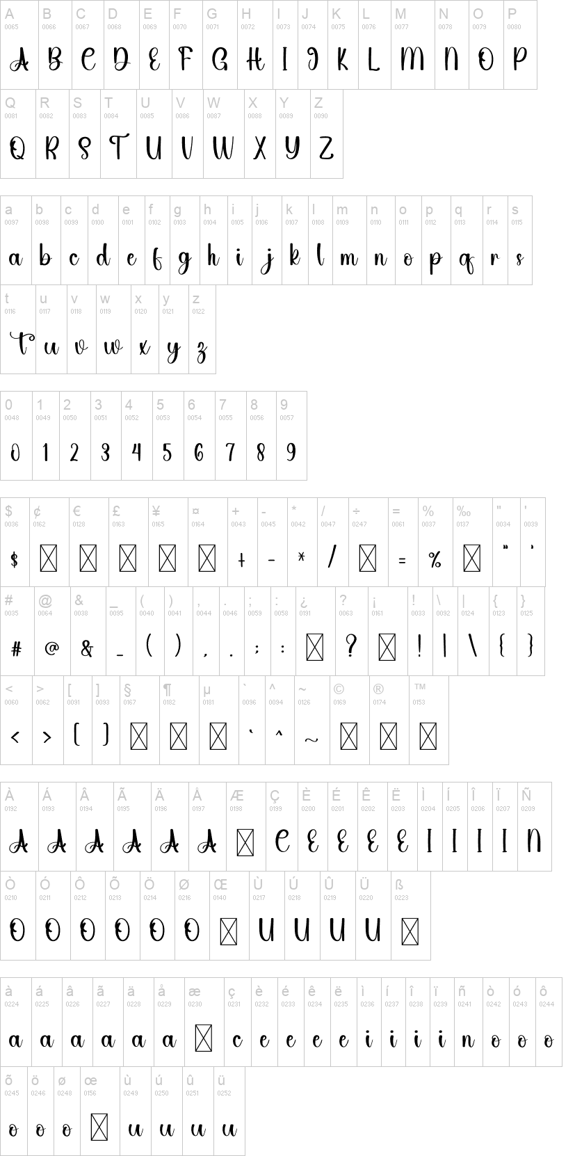 Daily Script