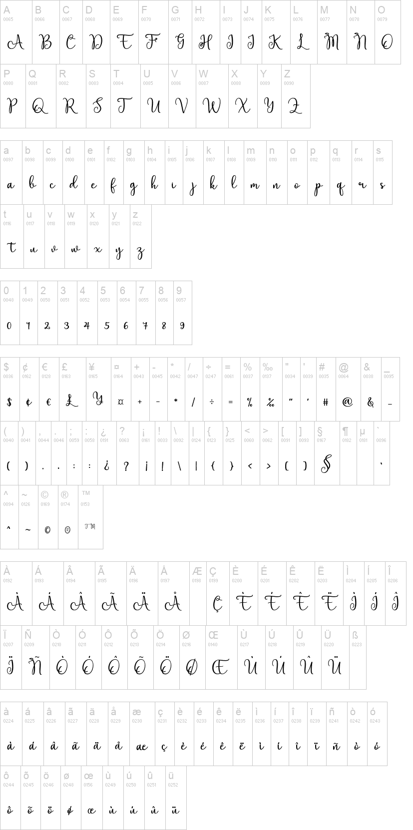 Elation Script