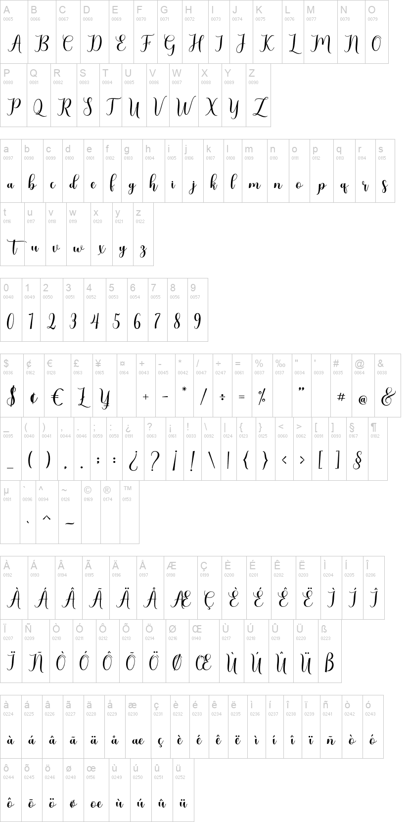 Gladiolus Script