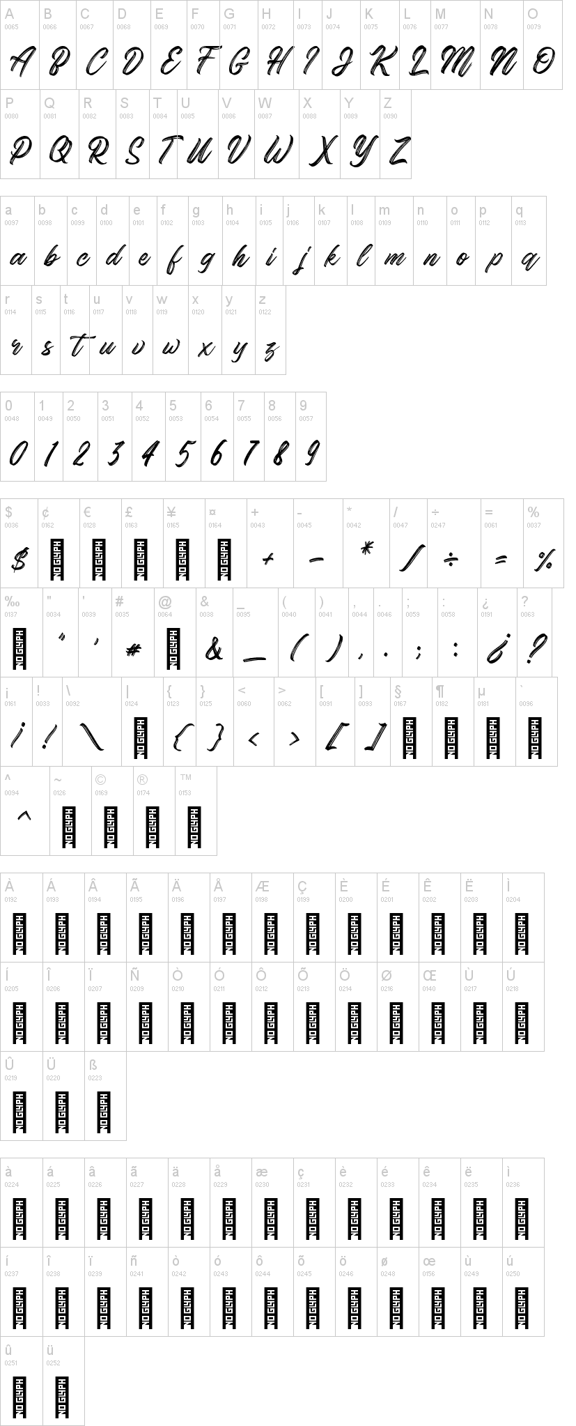 Gorgeous Script Typeface