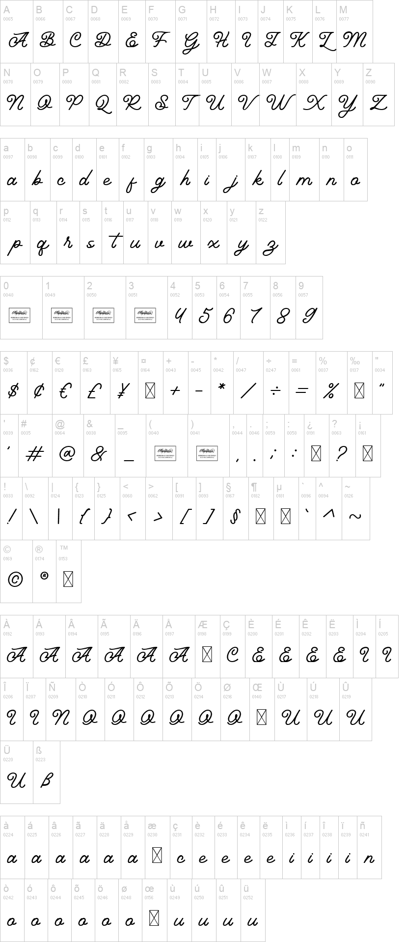 Hunting Script