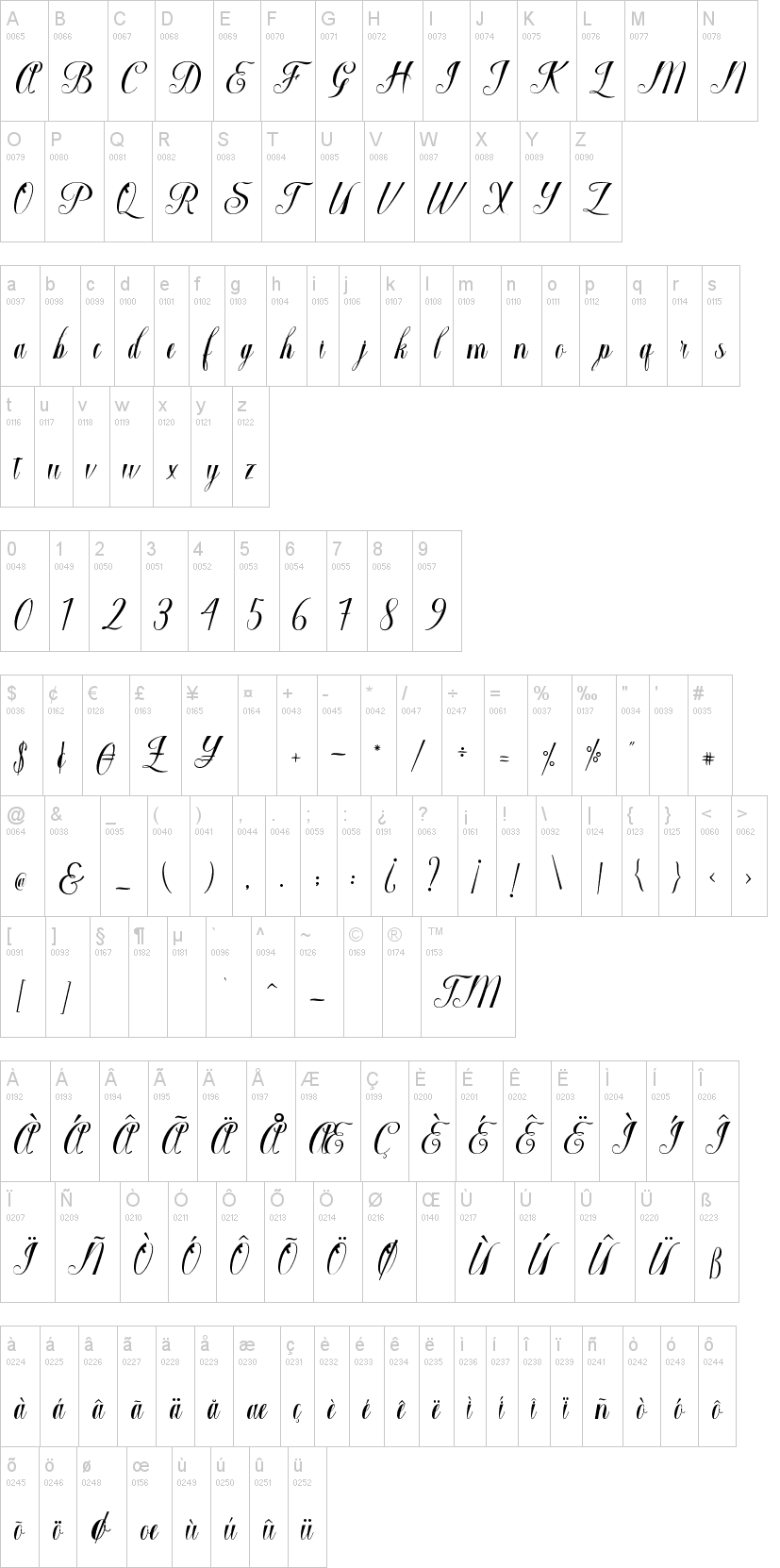 Macrofhyllya Script