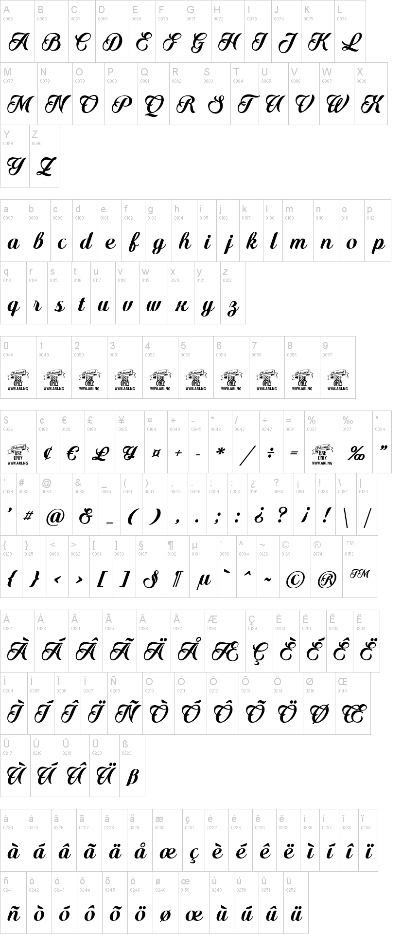 Quincho Script