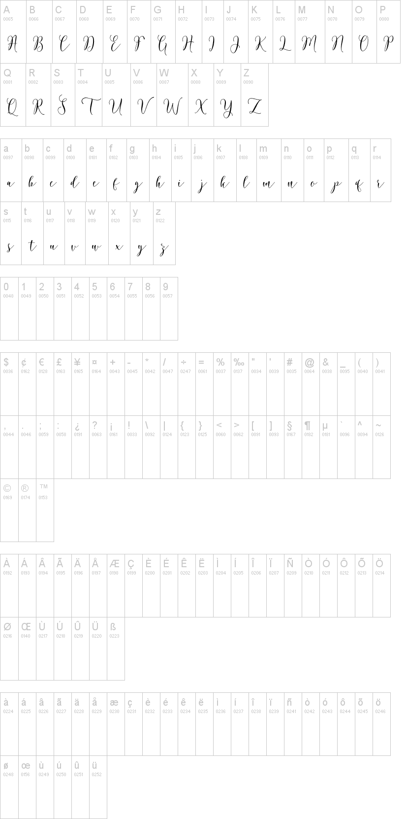 Rosetica Script