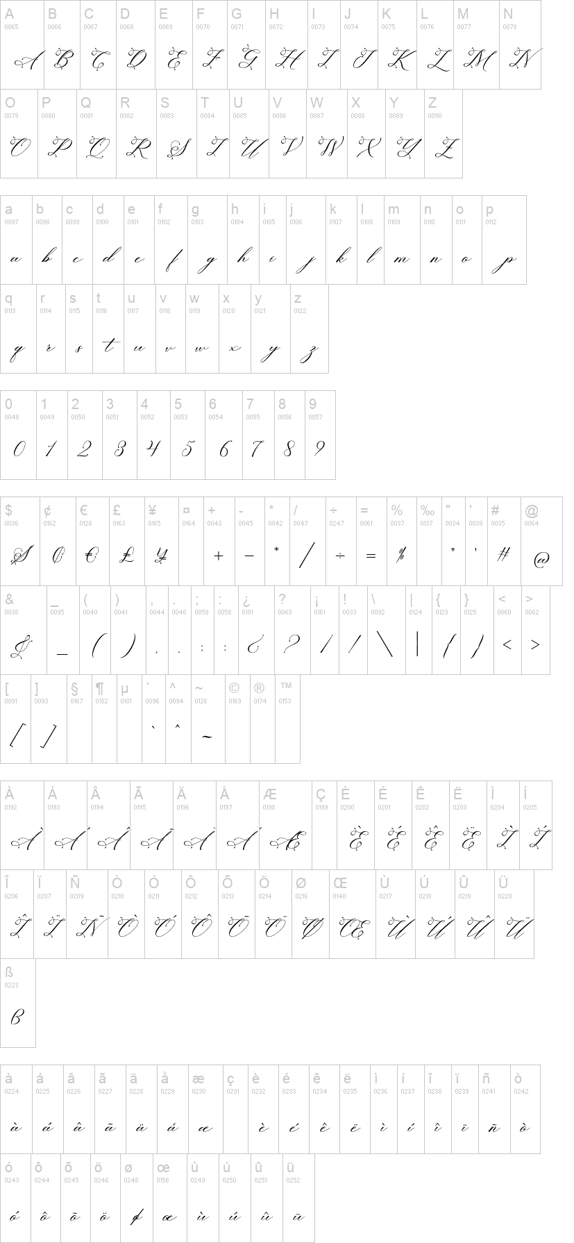 Sagita Script