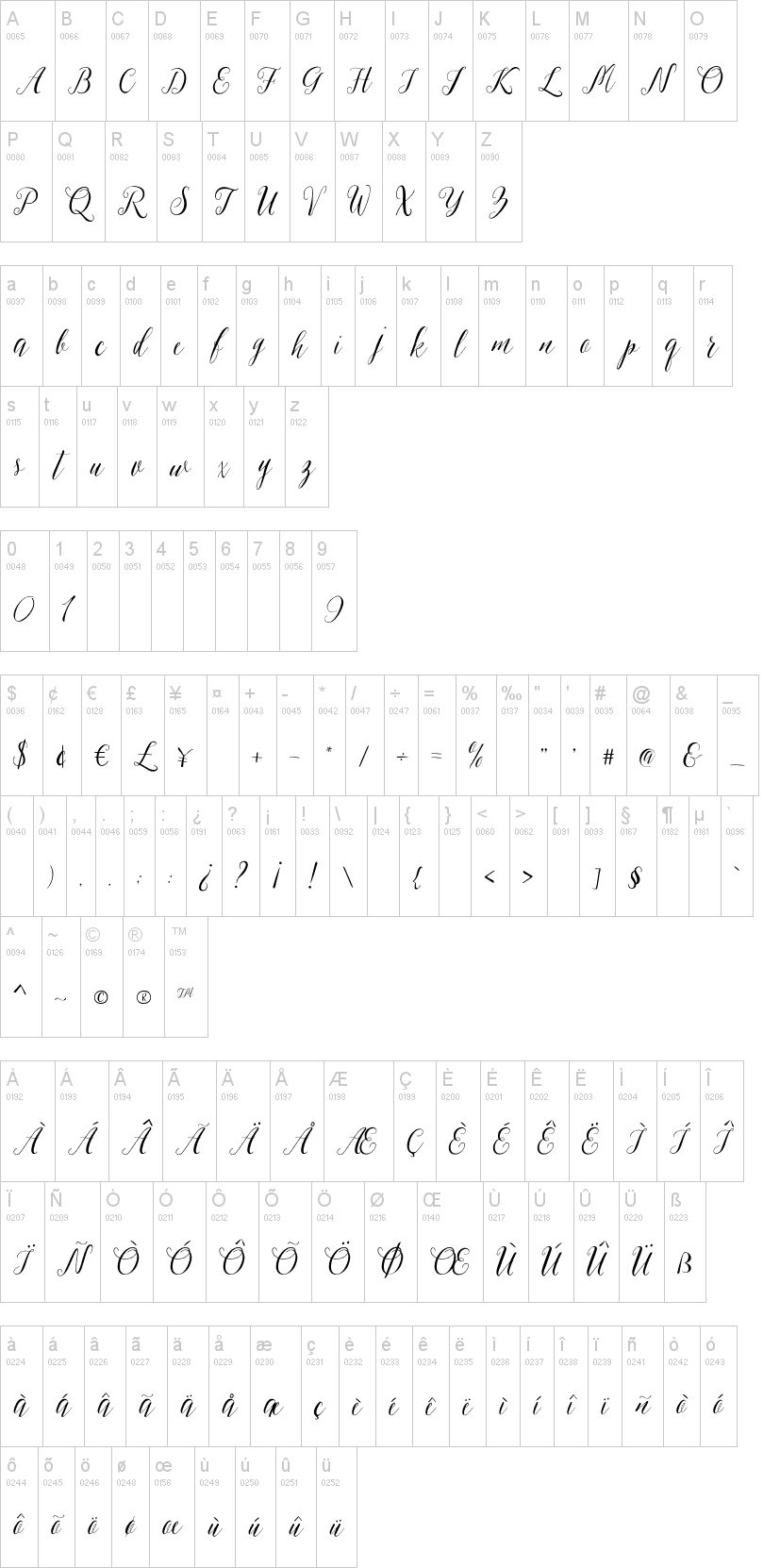 Sheilova Script