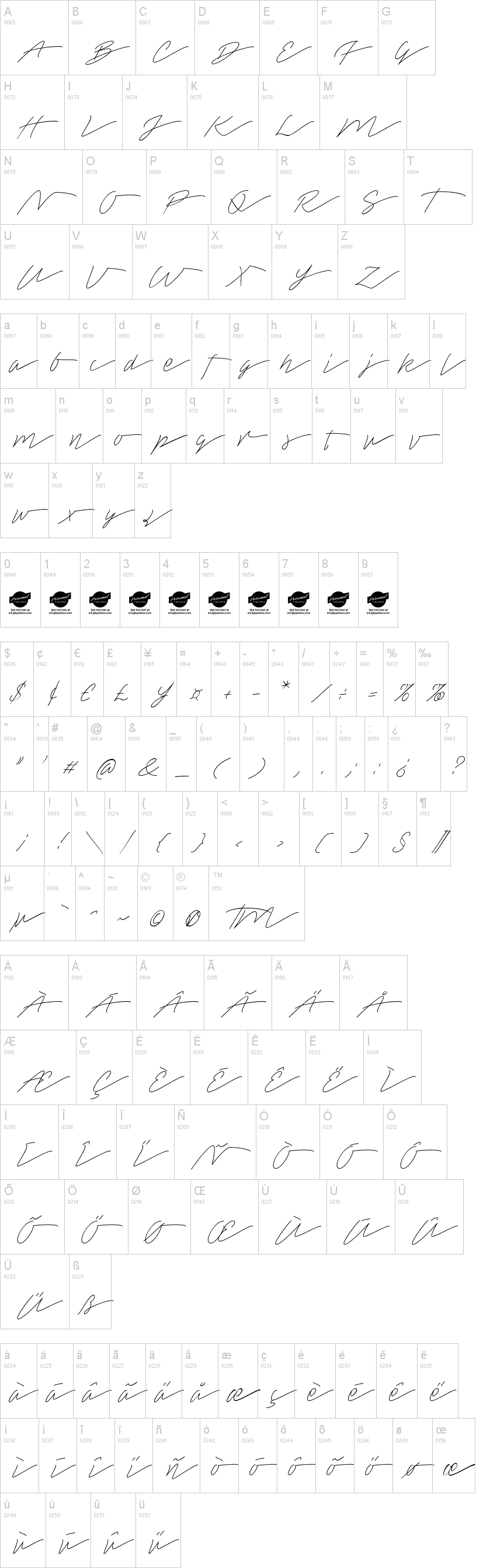 Tamoro Script