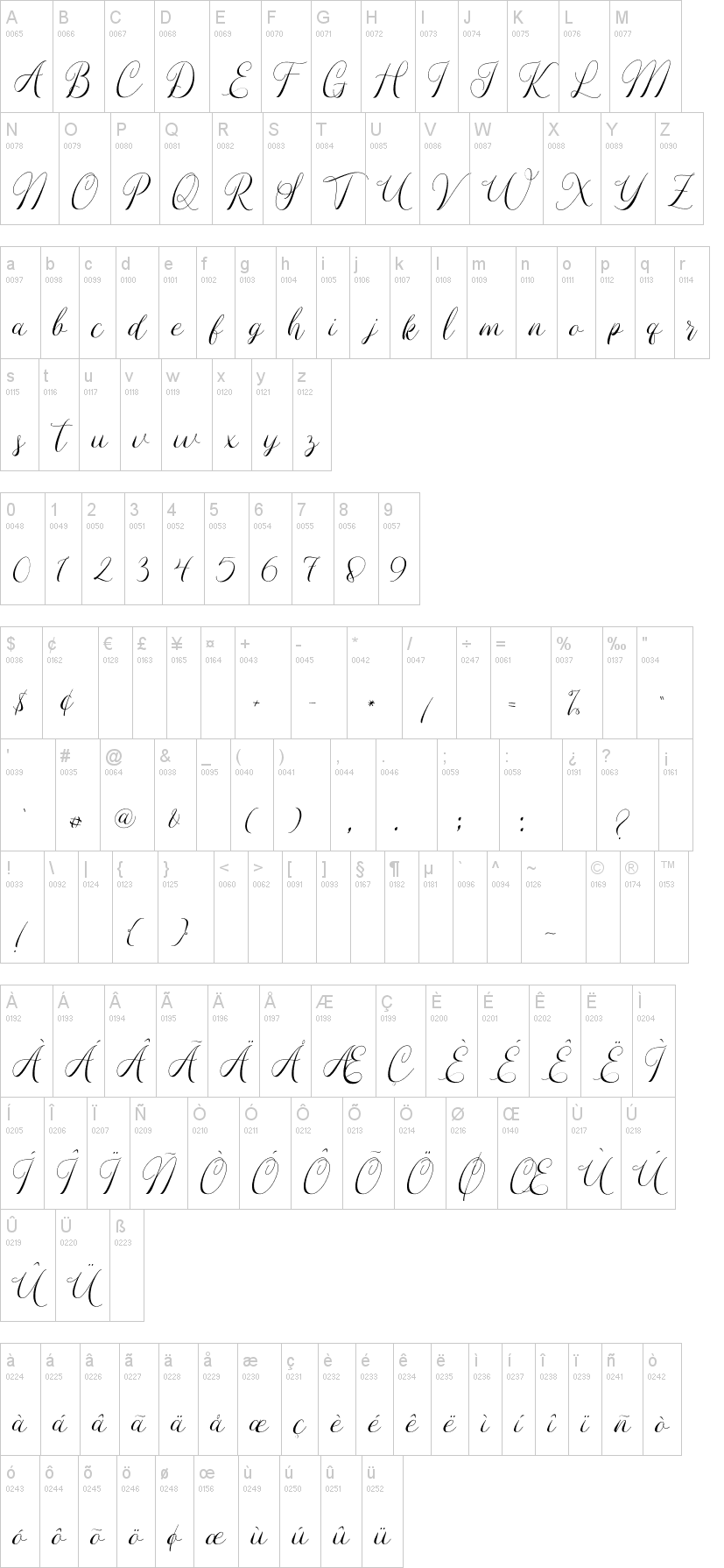 Umbrella Script