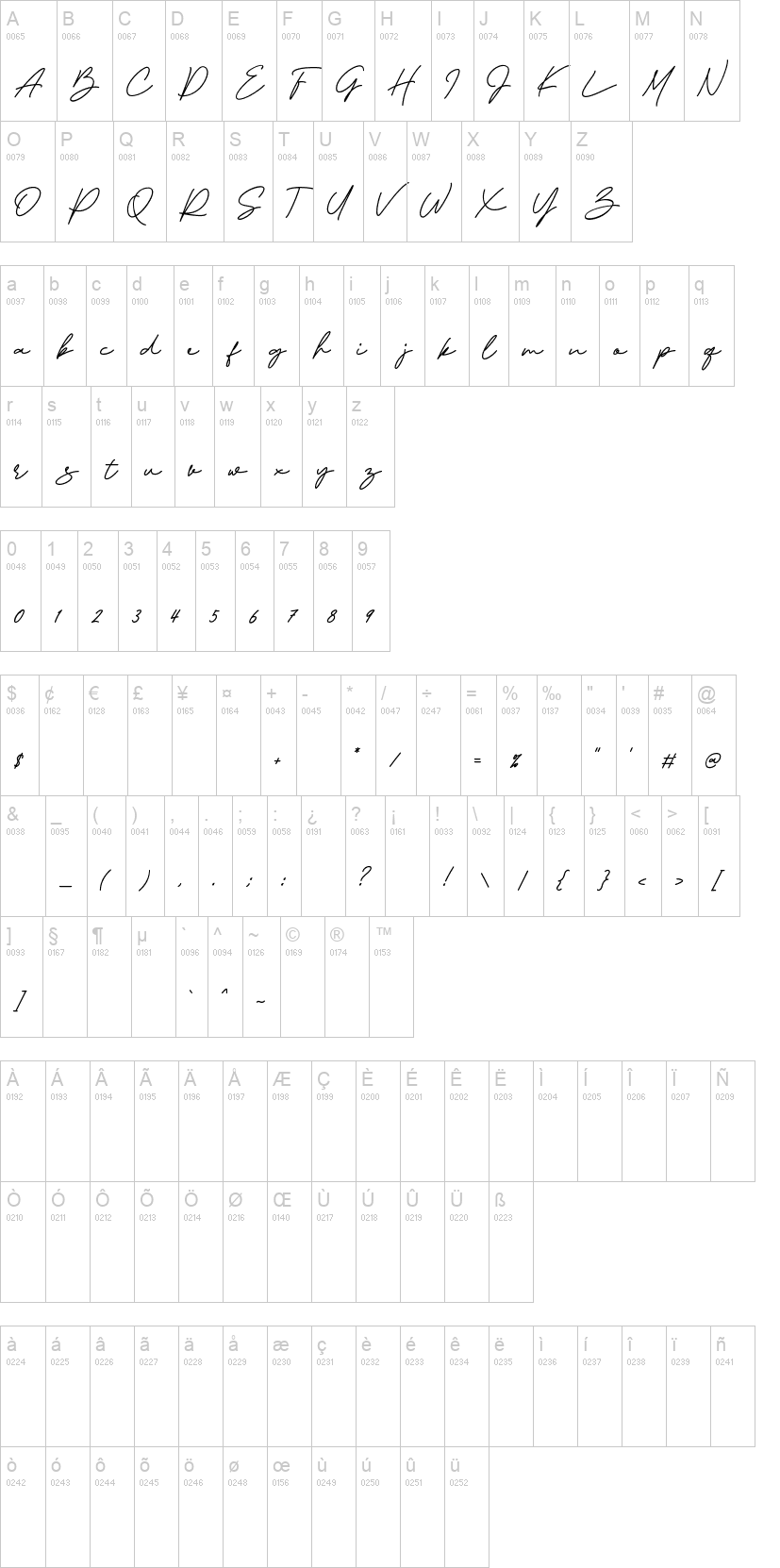 Visual Hollow Script