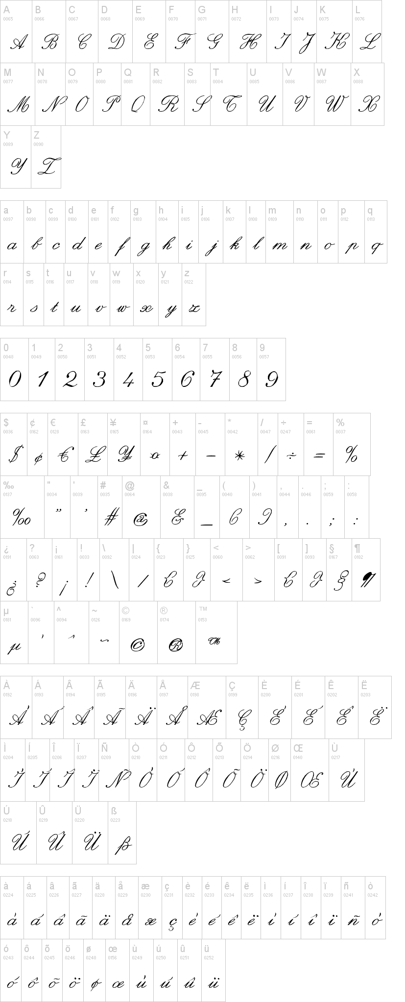 zai Italic Hand Calligraphy