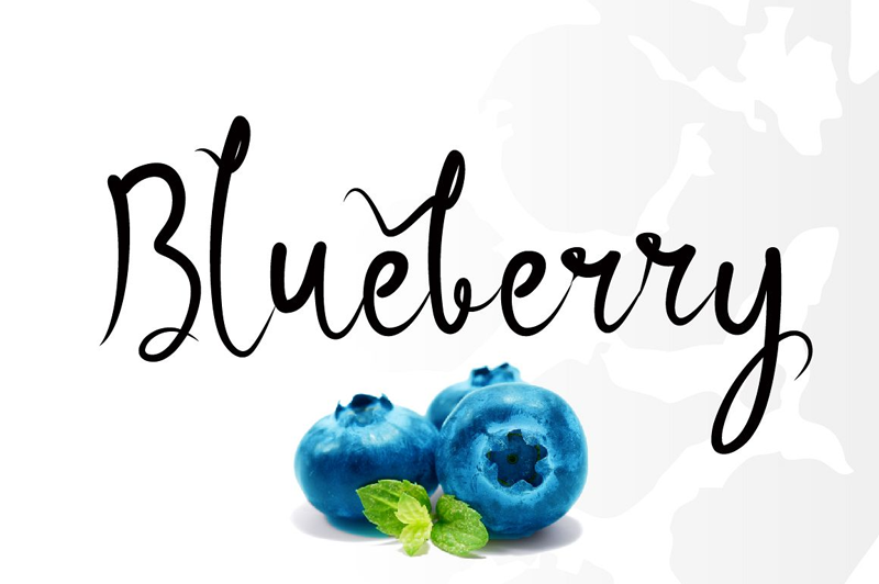 Blueberry font download a level biology syllabus pdf download