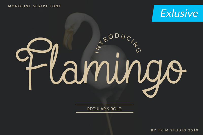 Download Free Flamingo Font Dafont Com Fonts Typography