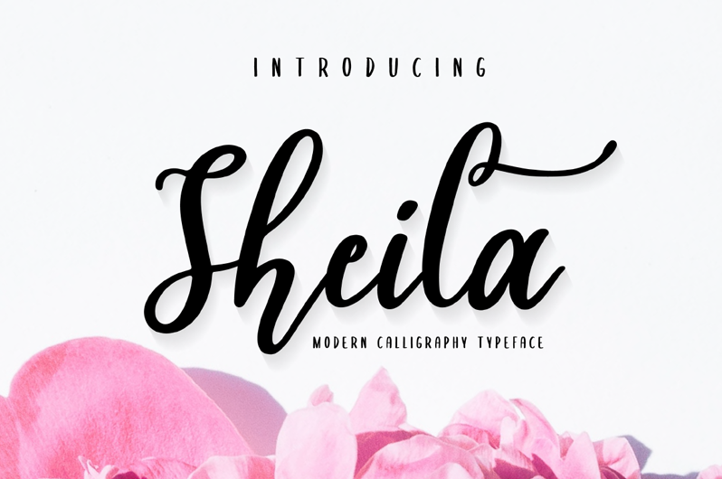Download Free Sheila Font Dafont Com Fonts Typography