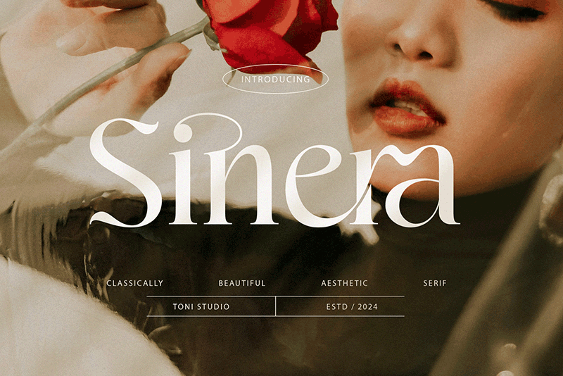 sinera.png